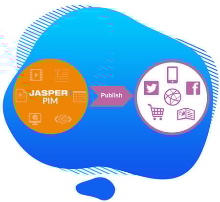 What is PIM software?